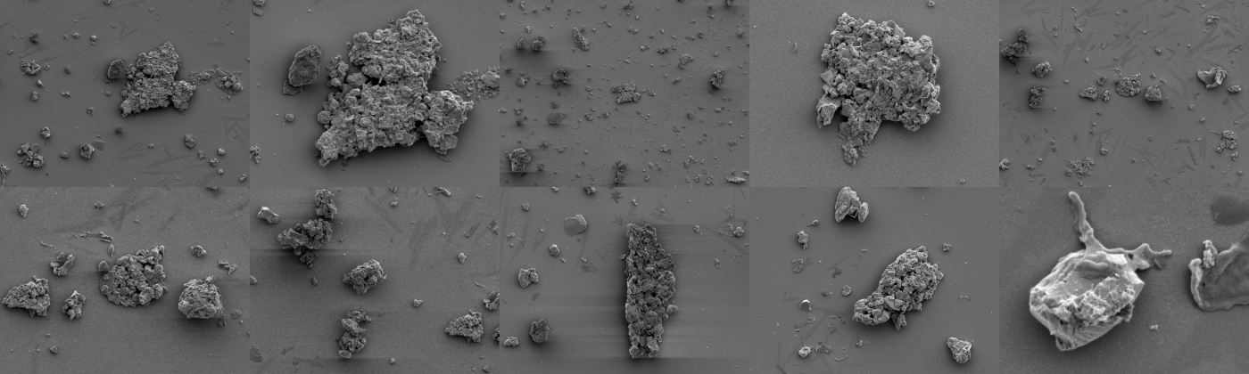 Secondary Electron Microscopy Images of Soil Samples